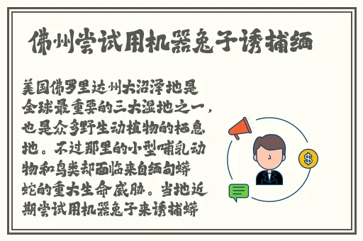 第一会所 欧美